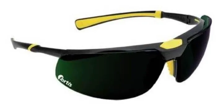 Fortis Schweißerbrille Sula, DIN 5