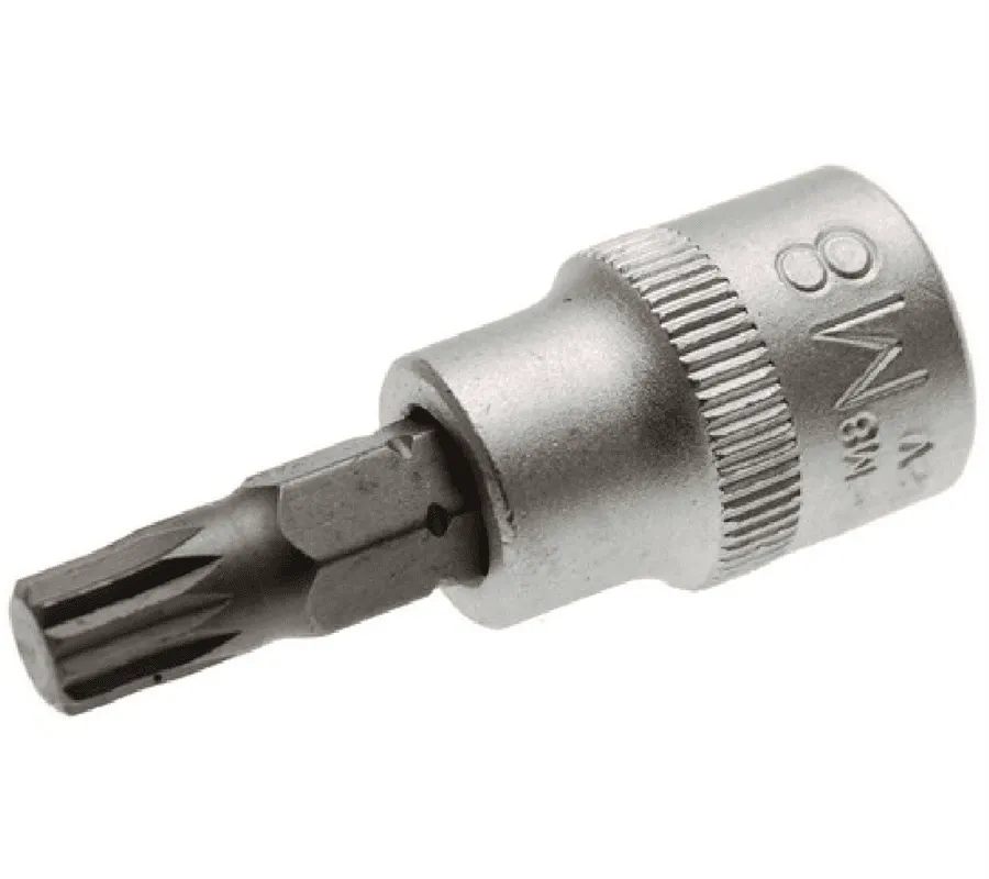 BGS Bit-Einsatz | 10 mm (3/8") | Innenvielzahn (für XZN) M8 – 5105-M8