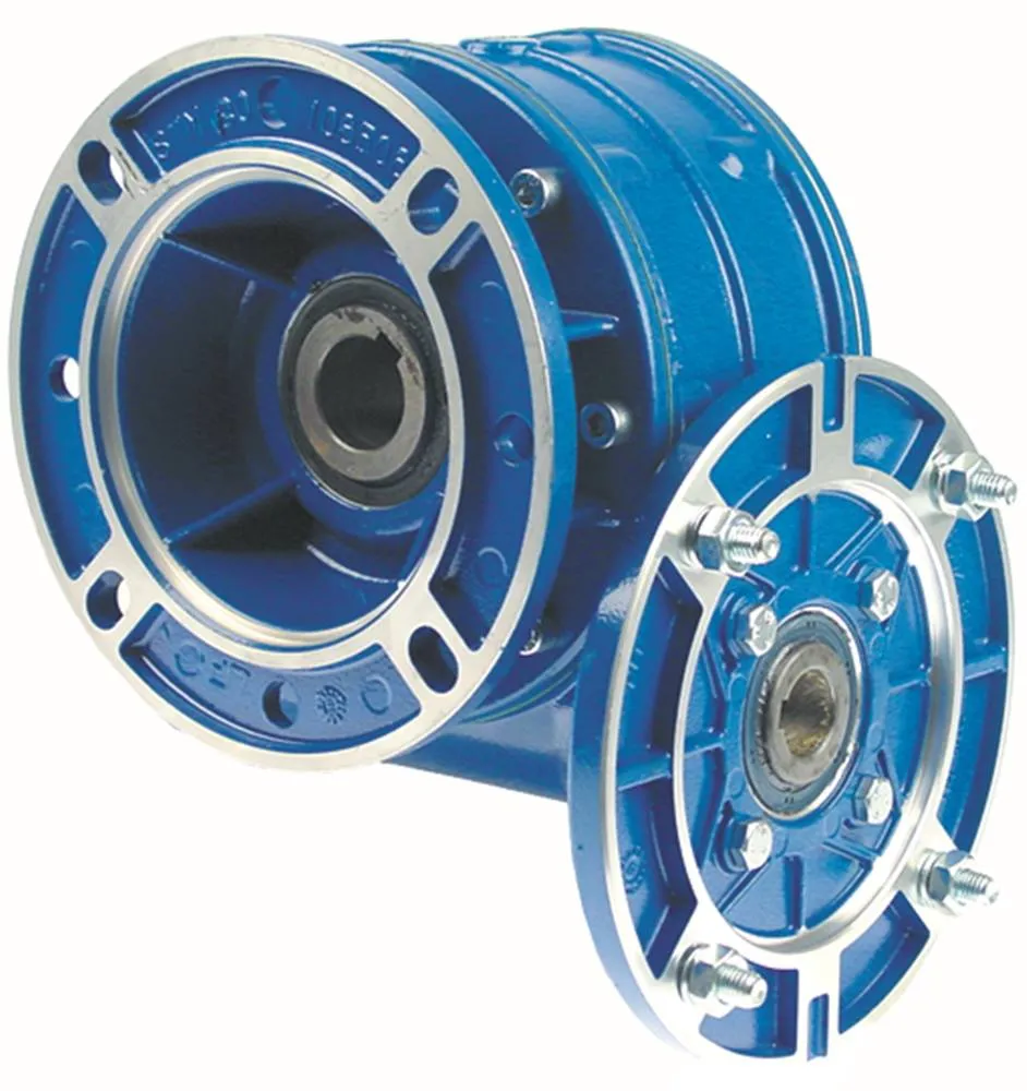 Getriebe RMI 85FL für Teigknetmaschine Fimar IM50C, IM50F, IM50S 24mm