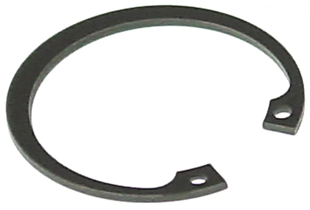 Sicherungsring für Alimacchine NT20, NT30, NT05, NT10, Fimar PPN18M