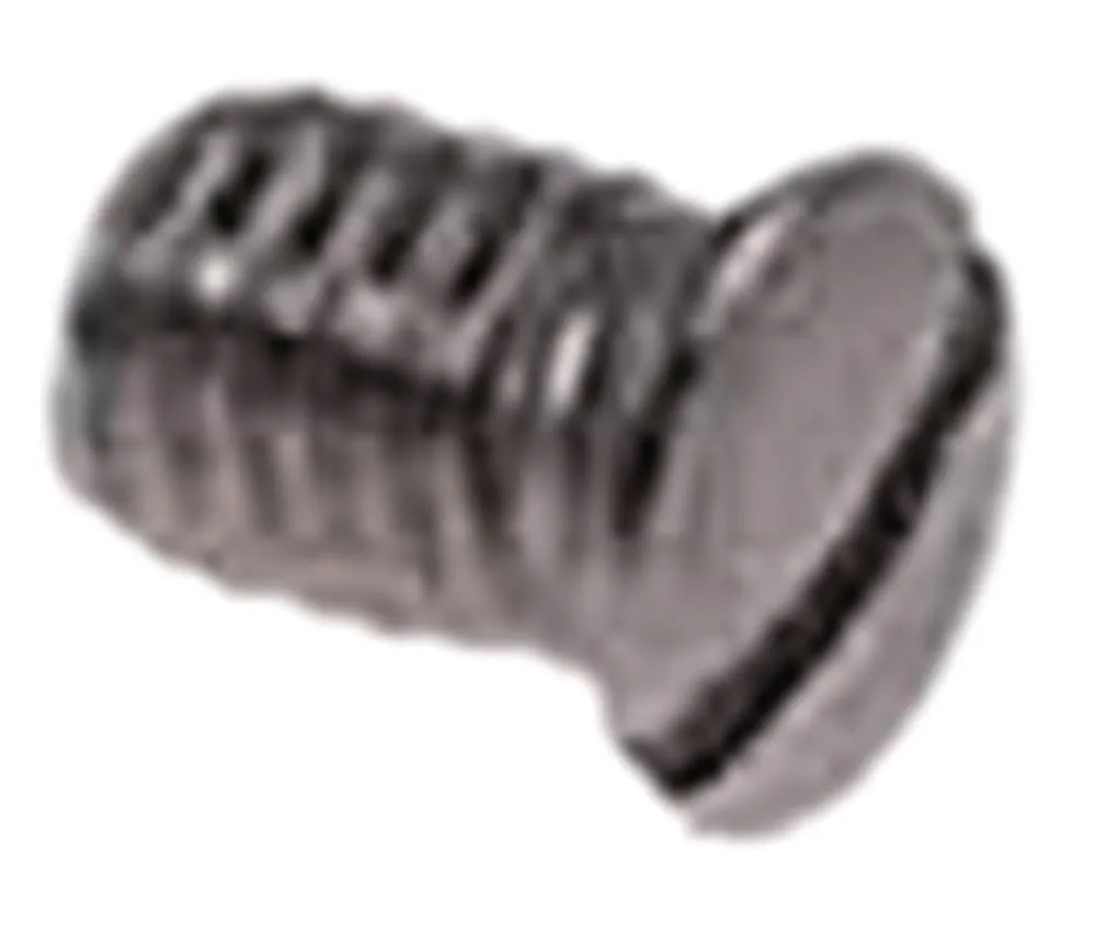 Sirman Linsenkopfschraube für Aufschnittmaschine PERLA 250 M3