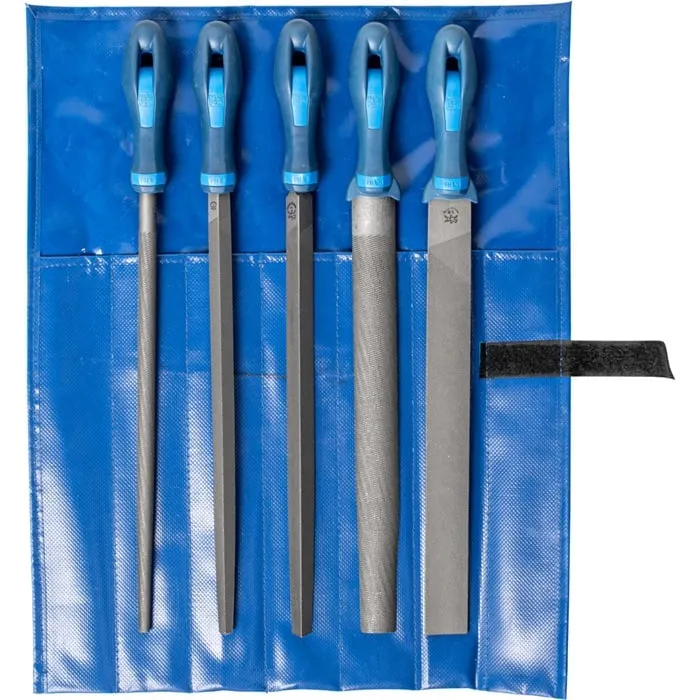 Feilensatz L.300mm Hieb 1 2K-Ergo PFERD