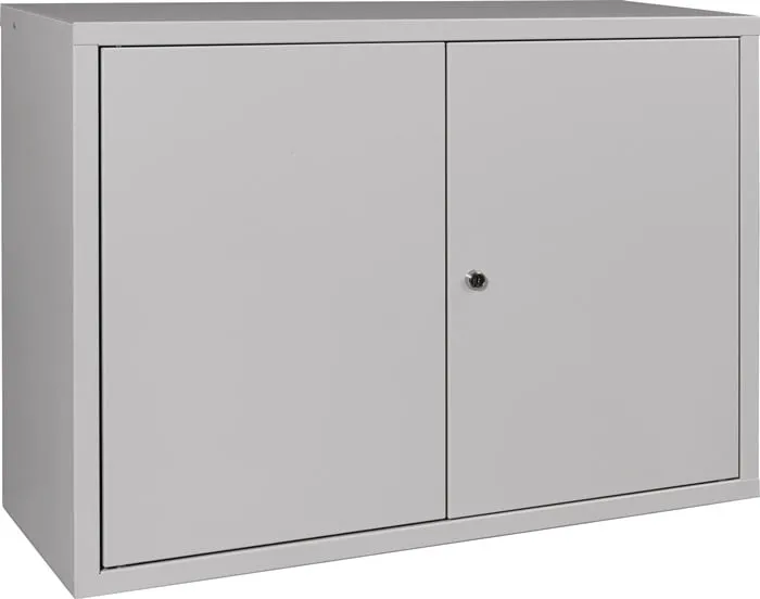 Hängeschrank H600xB800xT300mm Vollblech,1 BD lichtgrau/lichtgrau