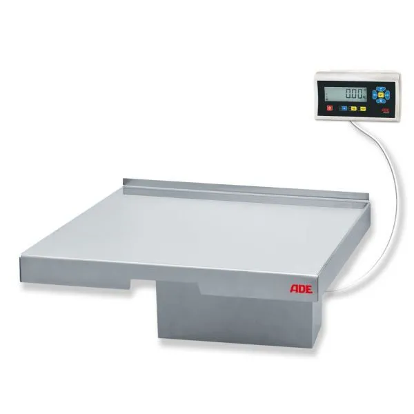 ADE Wandwaage TerrexL-150+STAN07 max 150kg Ziffernschritt 50g