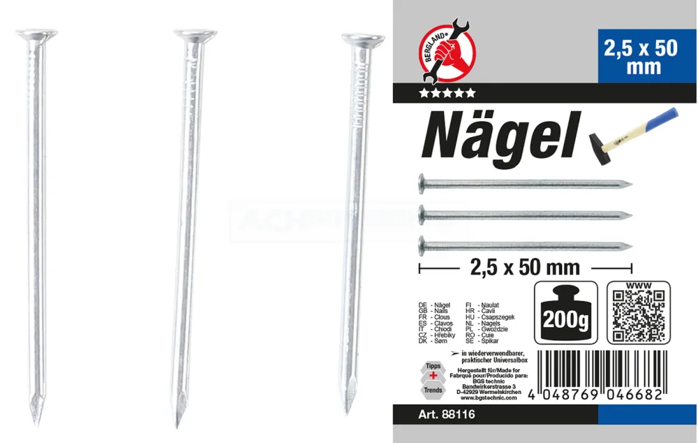BGS DIY Nägel-Sortiment | 200 g | 2,5 x 50 mm – 88116