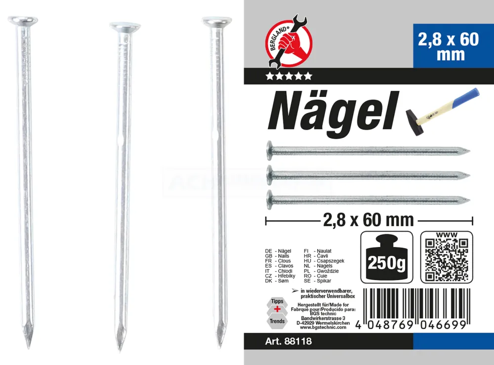 BGS DIY Nägel-Sortiment | 250 g | 2,8 x 60 mm – 88118