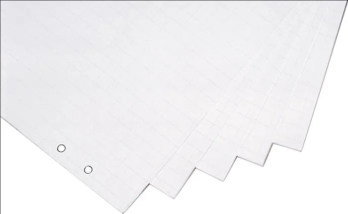 Flipchartblock B650xH930mm kariert/blanko 5 x 20 Bl.MAGNETOPLAN