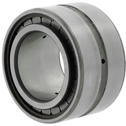 Zylinderrollenlager SL185010 -C3 ID 50mm AD 80mm Breite40mm INA