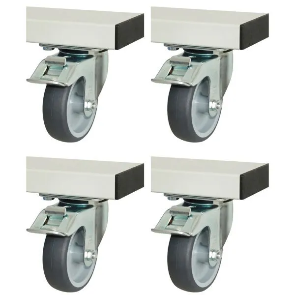 Rau Rollensatz für Serie adlatus 300+600 Breite 100 mm