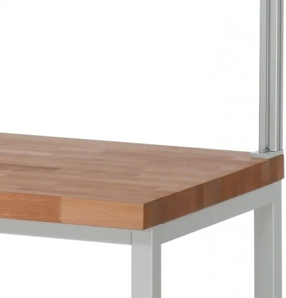 RAU System Stützenpaar Höhe 900 mm